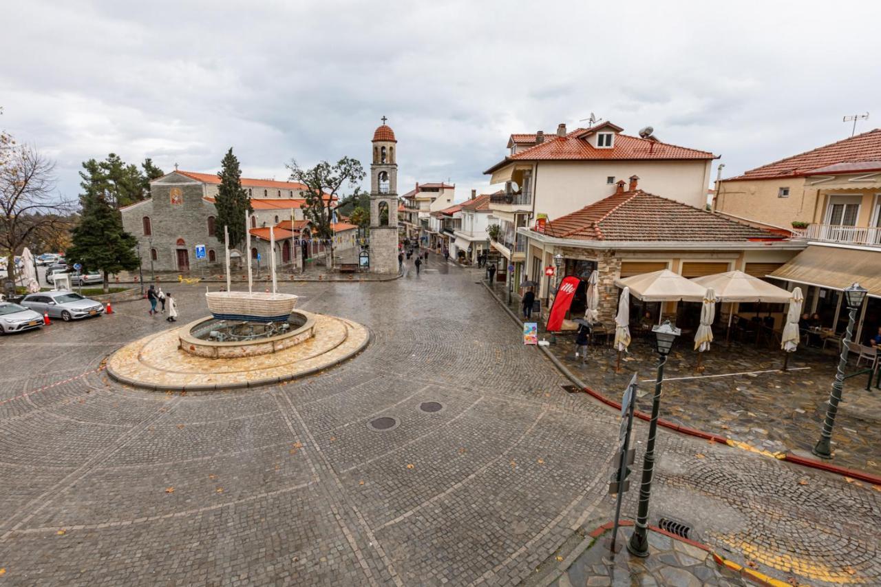 Athenais Central By Olympus Pantheon Litochoro Exterior photo